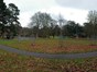 The current site of former bandstand now open space with young trees
