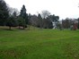 Current park view of old pond site, open grassed space with some young trees and benches