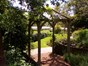Pergola with mature shrubs either side of a gravel pathway
