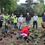 Group of volunteers planting plants in Brinton Park's new pollinator garden